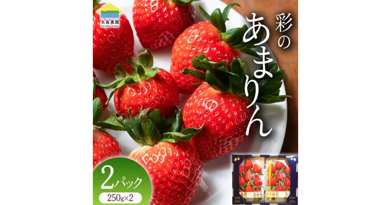 【ふるさと納税】≪先行予約≫【配送月選べる】埼玉県本庄市産 いちご 彩のあまりん 250g×2パック 2024年12月下旬から順次発送 苺 いちご イチゴ ストロベリー 新品種 甘い あまい 果物 フルーツ 冬 果実 デザート 食品 埼玉県 F5K-462