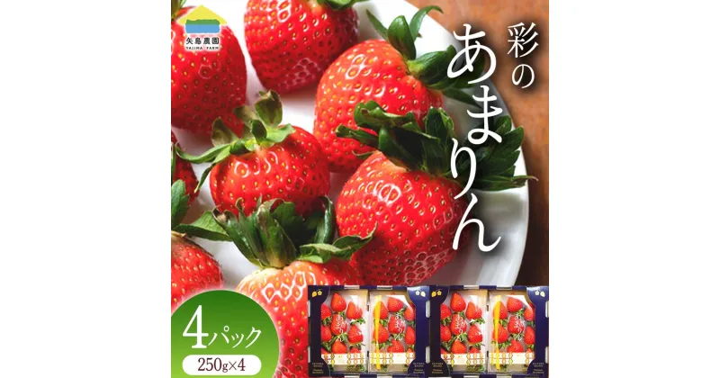 【ふるさと納税】≪先行予約≫【配送月選べる】埼玉県本庄市産 いちご 彩のあまりん 250g×4パック 2025年1月上旬から順次発送 苺 いちご イチゴ ストロベリー 新品種 甘い あまい 果物 フルーツ 冬 果実 デザート 食品 埼玉県 F5K-467