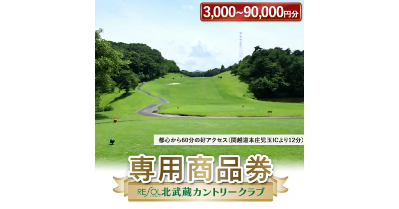 【ふるさと納税】北武蔵CC専用商品券 3,000円～90,000円 選べる 北武蔵カントリークラブ ゴルフ場 スポーツ ギフト 贈り物 関東 F5K-379var