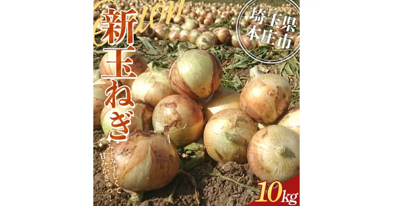 【ふるさと納税】 ≪2025年先行予約≫ 埼玉県本庄市産 小平ブランド 新玉ねぎ 10kg 2025年5月中旬から順次発送 野菜 やさい 玉葱 たまねぎ タマネギ オニオン 10キロ 甘い 食品 関東 F5K-471