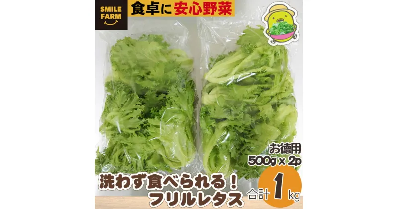 【ふるさと納税】＜農薬不使用＞洗わず食べられる！フリルレタス お徳用 1kg | 埼玉県 東松山市 レタス サラダ 1kg 緑黄色野菜 洗わず食べる 野菜 サラダ 新鮮な 便利 ナチュラル グリーン サラダ野菜 ダイエット 肉巻き 安心 安全 食卓 農薬不使用 健康 おいしい フレッシュ