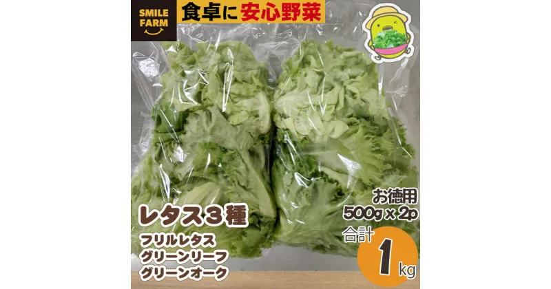 【ふるさと納税】＜農薬不使用＞洗わず食べられる！レタス 3種 詰めわせ 500g×2パック 合計1kg | 埼玉県 東松山市 フリルレタス サラダ 緑黄色野菜 1kg 洗わず食べる 野菜 サラダ 新鮮な 便利 ナチュラル グリーン サラダ野菜 ダイエット 健康 栄養 フレッシュ ごはん 肉巻