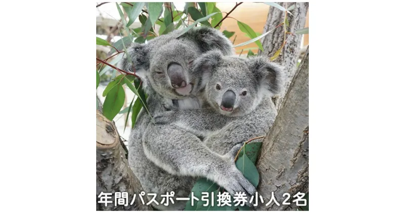 【ふるさと納税】こども動物自然公園 年間パスポート引換券 小人2名分 | 埼玉県 東松山市 動物園 年間パスポート 子供2名 自然体験 動物園 家族で楽しむ 子供向け 年間利用可能 季節ごとのイベント アウトドア アクティビティ 教える 学びの場 お得な入場券 遊び場