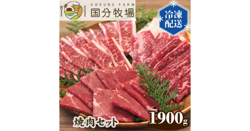 【ふるさと納税】国産 牛肉 焼肉 1900g 国分牧場 焼肉セット | 埼玉県 東松山市 お任せ 三角バラ トモサンカク 上カルビ バラカルビ イチボ シンタマ ウチモモ ミスジ 国産牛 真空 冷凍 セット 和牛 お肉 グルメ バーベキュー 家庭用 お取り寄せ 冷凍 おうち焼肉 家庭用