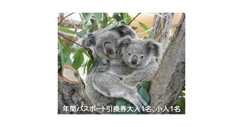 【ふるさと納税】こども動物自然公園優待券 ＜年間パスポート引換券大人1名 小人1名＞ | 埼玉県 東松山市 動物園 年間パスポート 親子 コアラ キリン マヌルネコ クオッカ 子ども ペンギン アスレチック レッサーパンダ カンガルー おでかけスポット かわいい レジャー施設