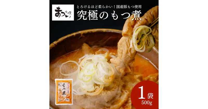 【ふるさと納税】【只今注文殺到中の為発送まで最大4か月お時間をいただいております】国産豚もつ使用！とろけるほど柔らかい 究極のもつ煮 500g × 1袋 | 埼玉県 東松山市 もつ煮 国産豚 もつ もつ煮のまつい 冷蔵 惣菜 手軽 簡単調理 肉料理 おつまみ ピリ辛