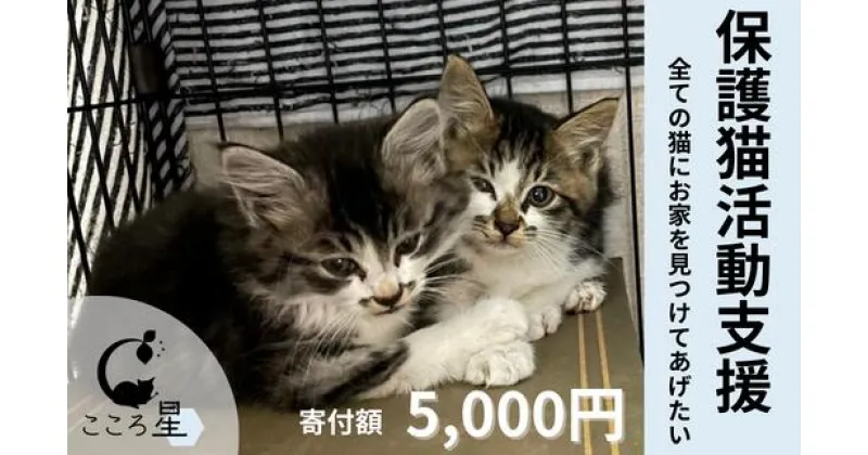 【ふるさと納税】＜お礼の品なし＞保護猫活動支援～野良猫から地域で見守るさくら猫に～ 寄付額5000円｜埼玉県 東松山市 保護猫 猫の里親募集 動物保護活動 ペットアドoption 猫の里親探し 里親募集 里親 ペット保護 猫愛好家 ペットアドプション ねこ活動 猫の幸せ