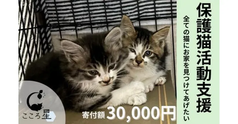 【ふるさと納税】＜お礼の品なし＞保護猫活動支援〜野良猫から地域で見守るさくら猫に〜 寄付額30,000円 | 埼玉県 東松山市 保護猫 猫の里親募集 動物保護活動 ペットアドoption 猫の里親探し 里親募集 里親 ペット保護 猫愛好家 ペットアドプション ねこ活動 猫の幸せ