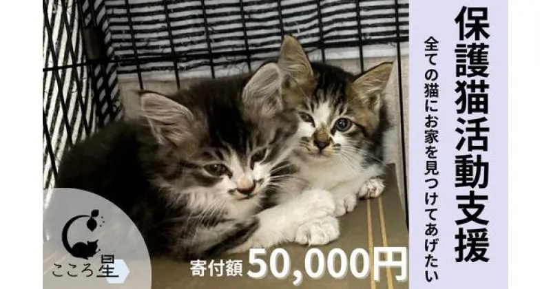 【ふるさと納税】＜お礼の品なし＞保護猫活動支援〜野良猫から地域で見守るさくら猫に〜 寄付額50,000円 | 埼玉県 東松山市 保護猫 猫の里親募集 動物保護活動 ペットアドoption 猫の里親探し 里親募集 里親 ペット保護 猫愛好家 ペットアドプション ねこ活動 猫の幸せ