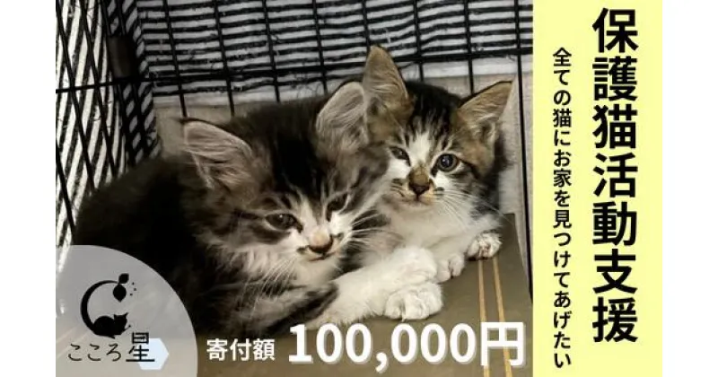 【ふるさと納税】＜お礼の品なし＞保護猫活動支援〜野良猫から地域で見守るさくら猫に〜 寄付額100,000円 | 埼玉県 東松山市 保護猫 猫の里親募集 動物保護活動 ペットアドoption 猫の里親探し 里親募集 里親 ペット保護 猫愛好家 ペットアドプション ねこ活動 猫の幸せ