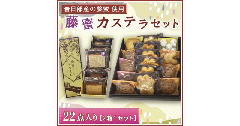 【ふるさと納税】洋菓子屋さんのパティシエが作る藤蜜カステラ☆22点セット☆(BF002-1)