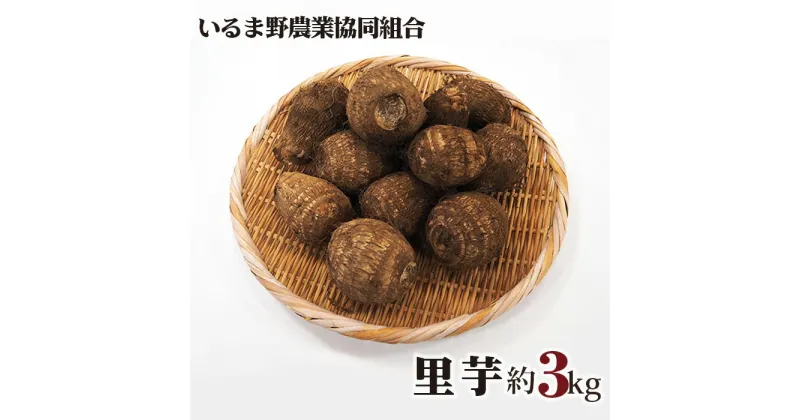 【ふるさと納税】No.253 里芋 ／ 農産物 新鮮 さといも 里いも 送料無料 埼玉県