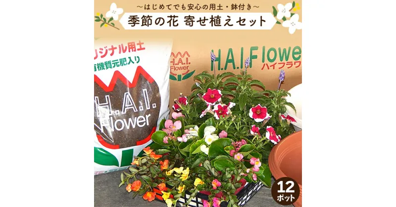 【ふるさと納税】 寄せ植え 花 季節のお花 12ポット 用土 鉢 付き ガーデニング プレゼント 育成セット 日用品 園芸 花苗 おすすめ セット 母の日 季節 お花 贈り物 農事組合法人ハイフラワー 埼玉県 羽生市