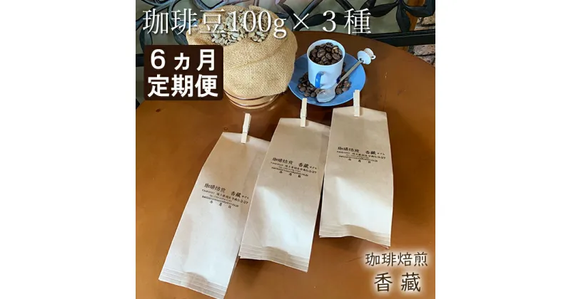 【ふるさと納税】 定期便 6回 コーヒー 豆 100g 3種類 毎月お届け おまかせ バラエティー セット