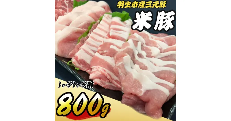 【ふるさと納税】 豚肉 しゃぶしゃぶ 800g (ロース バラ 肩ロース モモ) 各200g×4種 三元豚 米豚 国産 豚 ポーク 肉 豚しゃぶ 羽生市産 小分け 個包装 小袋 便利 ブランド ブランド豚 精肉 まとめ買い 間中さん家 株式会社古川ミート 埼玉県 羽生市