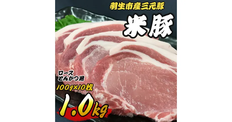 【ふるさと納税】 豚肉 豚肉ロース 1kg (100g×10枚) ロースとんかつ用 三元豚 米豚 国産 豚 ポーク 肉 羽生市産 小分け 個包装 小袋 便利 ブランド ブランド豚 トンテキ ステーキ 精肉 まとめ買い 間中さん家 株式会社古川ミート 埼玉県 羽生市