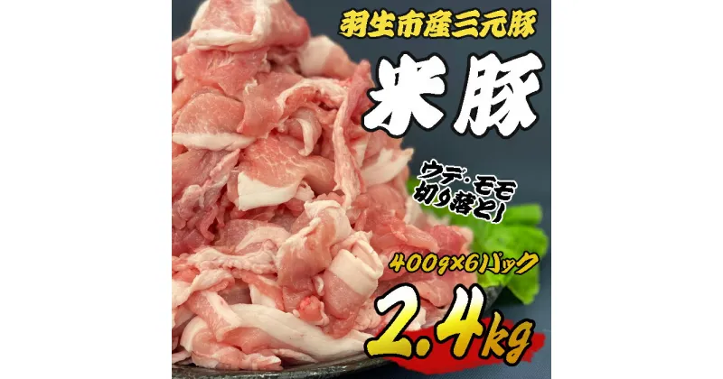 【ふるさと納税】 豚肉 切り落とし 2.4kg (400g×6パック) ウデ モモ 三元豚 米豚 国産 豚 ポーク 肉 羽生市産 小分け 個包装 小袋 便利 ブランド ブランド豚 精肉 まとめ買い 間中さん家 株式会社古川ミート 埼玉県 羽生市