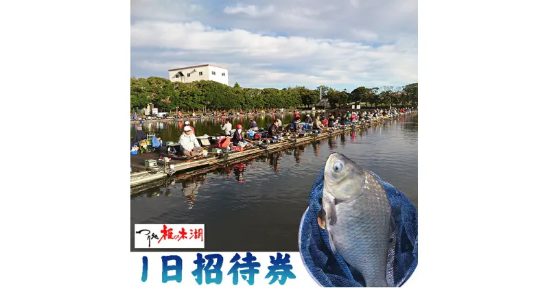 【ふるさと納税】 釣り 体験 つり処椎の木湖 1日ご招待券 へら鮒 フィッシング スポーツ アウトドア 体験 チケット 観光 旅行