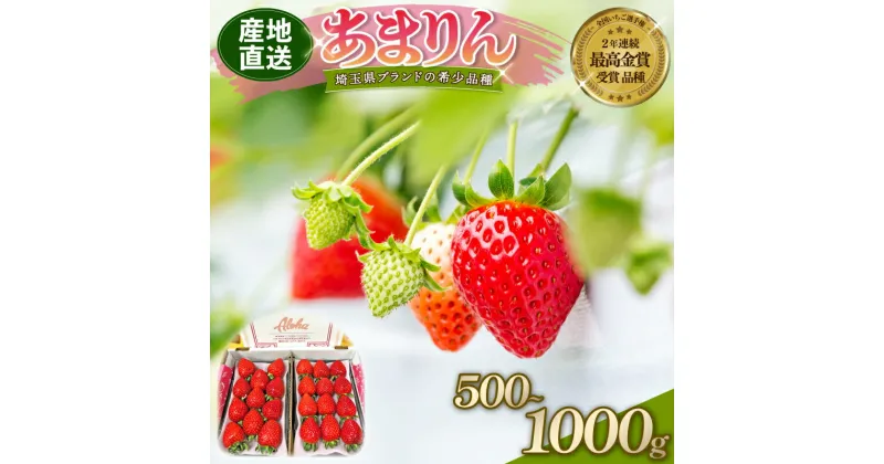 【ふるさと納税】 【 予約受付 】 あまりん DXパック 500g 1000g 選べる容量 選べる発送月 いちご 苺 ストロベリー 産地直送 ご当地 果物 くだもの フルーツ デザート 食品 冷蔵 ロコファーム 埼玉県 羽生市