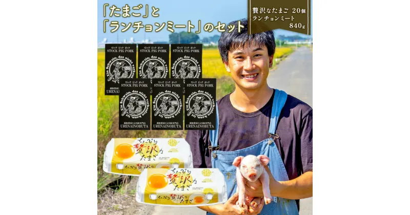 【ふるさと納税】 たまご と ランチョンミート セット 卵 20個 スパム 缶詰 840g 新鮮 平飼い ストックピックポック 豚肉 国産 肉 埼玉県 羽生市 送料無料