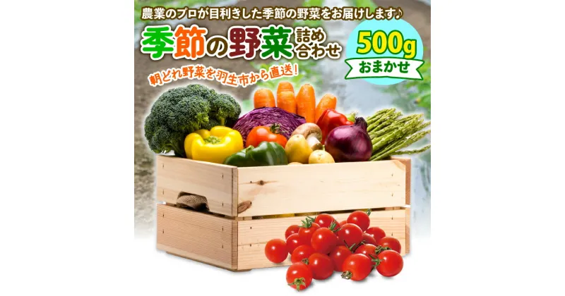 【ふるさと納税】 季節 野菜 詰め合わせ 500g 果物 産地直送 朝どれ フルーツトマト ほうれんそう 白菜 キャベツ ブロッコリー そら豆 ヤングコーン とうもろこし 枝豆 ピーマン 唐辛子 パプリカ 水 ナス オクラ キュウリ カリフローレ 風の子ファーム 埼玉県 羽生市