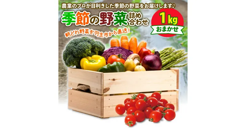 【ふるさと納税】 季節 野菜 詰め合わせ 1kg 果物 産地直送 朝どれ フルーツトマト ほうれんそう 白菜 キャベツ ブロッコリー そら豆 ヤングコーン とうもろこし 枝豆 ピーマン 唐辛子 パプリカ 水 ナス オクラ キュウリ カリフローレ とれたて 風の子ファーム 埼玉県 羽生市