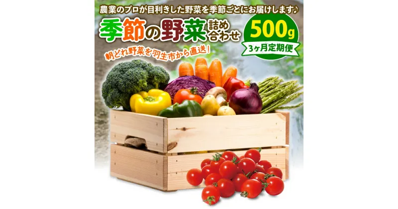 【ふるさと納税】 定期便 季節 野菜 詰め合わせ 500g 3ヶ月 連続お届け 果物 産地直送 朝どれ フルーツトマト ほうれんそう 白菜 キャベツ ブロッコリー そら豆 ヤングコーン とうもろこし 枝豆 ピーマン 水 ナス オクラ キュウリ カリフローレ 風の子ファーム 埼玉県 羽生市