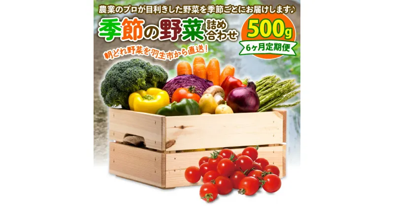 【ふるさと納税】 定期便 季節 野菜 詰め合わせ 500g 6ヶ月 連続お届け 果物 産地直送 朝どれ フルーツトマト ほうれんそう 白菜 キャベツ ブロッコリー そら豆 ヤングコーン とうもろこし 枝豆 ピーマン 水 ナス オクラ キュウリ カリフローレ 風の子ファーム 埼玉県 羽生市