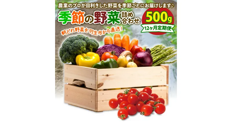 【ふるさと納税】 定期便 季節 野菜 詰め合わせ 500g 12ヶ月 連続お届け 果物 産地直送 朝どれ フルーツトマト ほうれんそう 白菜 キャベツ ブロッコリー そら豆 ヤングコーン とうもろこし 枝豆 ピーマン 水 オクラ キュウリ カリフローレ 風の子ファーム 埼玉県 羽生市