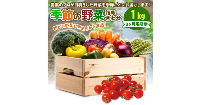 【ふるさと納税】 定期便 季節 野菜 詰め合わせ 1kg 3ヶ月 連続お届け 果物 産地直送 朝どれ フルーツトマト ほうれんそう 白菜 キャベツ ブロッコリー そら豆 ヤングコーン とうもろこし 枝豆 ピーマン パプリカ 水 ナス オクラ キュウリ 風の子ファーム 埼玉県 羽生市