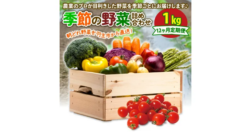 【ふるさと納税】 定期便 季節 野菜 詰め合わせ 1kg 12ヶ月 連続お届け 果物 産地直送 朝どれ フルーツトマト ほうれんそう 白菜 キャベツ ブロッコリー そら豆 ヤングコーン とうもろこし 枝豆 ピーマン パプリカ 水 ナス オクラ キュウリ 風の子ファーム 埼玉県 羽生市