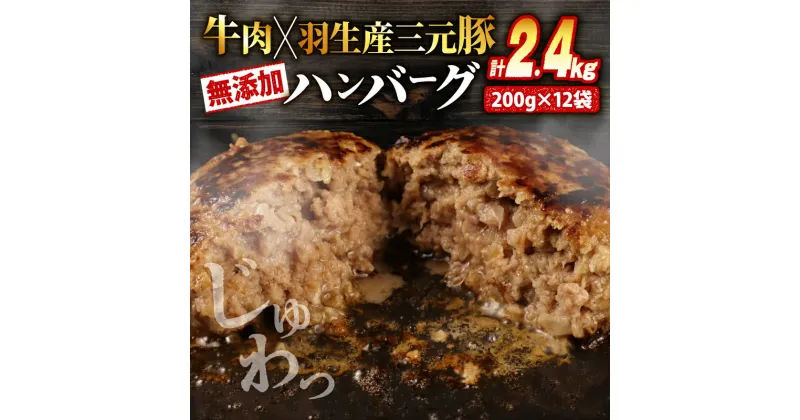 【ふるさと納税】 ハンバーグ 2.4kg 牛肉 豚肉 合挽き 冷凍 小分け 真空 個包装 大容量 大きめ 肉汁 たっぷり 保存料 不使用 無添加 淡路島 玉ねぎ ビーフ ポーク 牛 豚 肉 合いびき肉 挽肉 お弁当 おかず 惣菜 晩ごはん 贅沢 ギフト お中元 お歳暮 贈り物 贈答