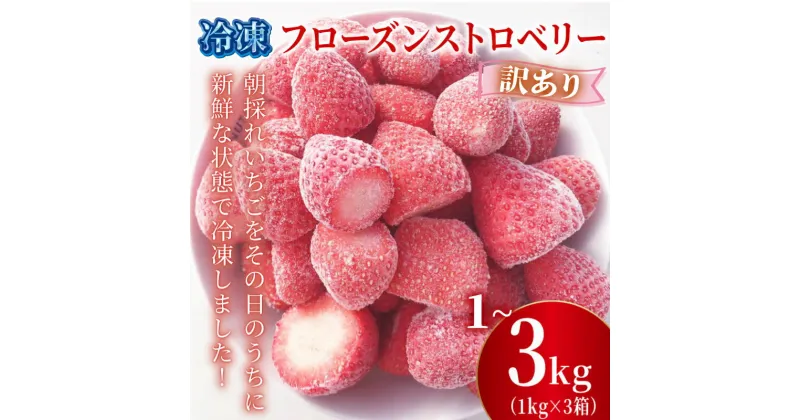 【ふるさと納税】 冷凍 いちご 1kg 2kg 3kg 選べる容量 フローズン ストロベリー 産地直送 ご当地 苺 果物 くだもの フルーツ デザート ふるさと納税3.0 よつぼし 紅ほっぺ かおり野 恋みのり おいCベリー 食品 げんき農場 埼玉県 羽生市