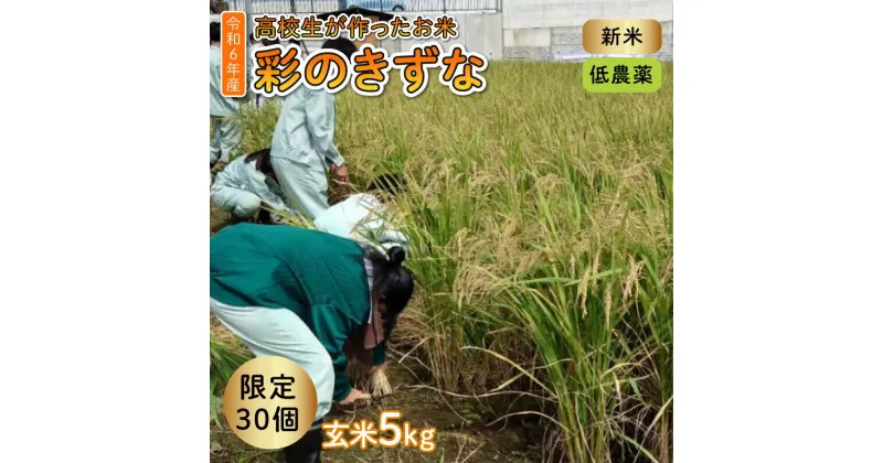 【ふるさと納税】 新米 令和6年度産 彩のきずな 玄米 5kg 【限定30セット】 低農薬 お米 玄米 ごはん ご飯 埼玉県 羽生市