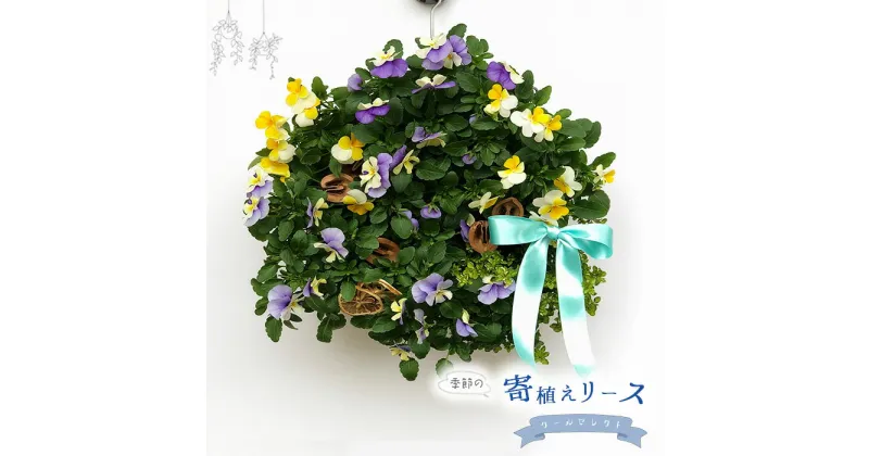 【ふるさと納税】No.148 【季節の寄植えリース】クールセレクト＊花工房すなが＊ ／ 花 季節の花 寄植え フラワー フラワーリース おしゃれ クール ナチュラル 屋外 送料無料 埼玉県