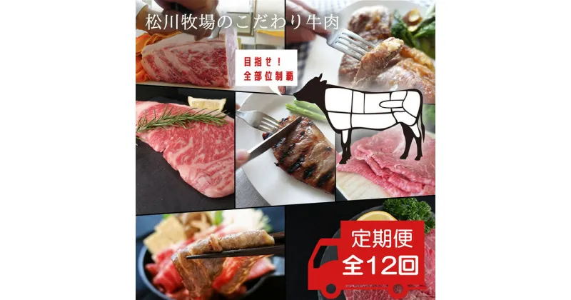 【ふるさと納税】No.332 牛肉の全部位制覇を目指す☆松川牧場のこだわり牛肉を1年間食べ尽くしちゃおう！【全12回＊特別定期便】 ／おにく うし 冷凍 送料無料 埼玉県