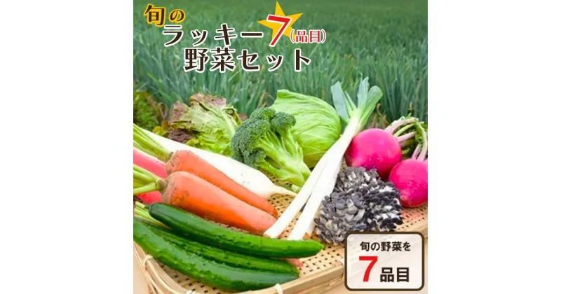 【ふるさと納税】旬のラッキー7野菜セット（野菜7種詰合せ）　【11218-0114】