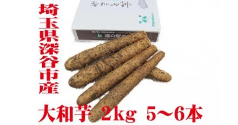 【ふるさと納税】土付き大和芋AA品2kg（5～6本）　【11218-0137】