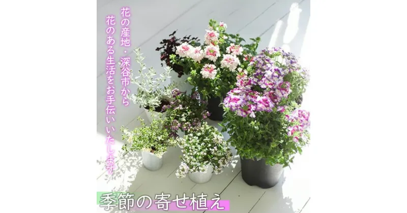 【ふるさと納税】花のある暮らしで心もハッピー。季節の寄せ植え　【11218-0060】