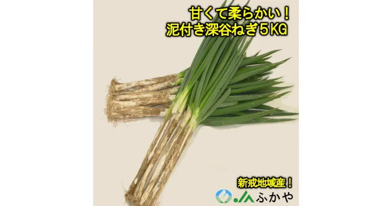 【ふるさと納税】＜先行受付＞JAふかや　農家直送　深谷ねぎ泥付き5kg（保存袋入り）　【11218-0412】　# 深谷ねぎ ねぎ 深谷 深谷市 土付き ドロ