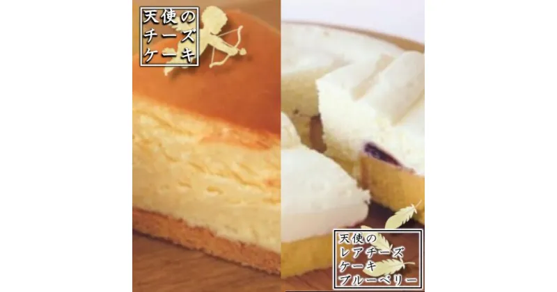 【ふるさと納税】濃厚チーズケーキ　2種食べ比べセット　【11218-0461】