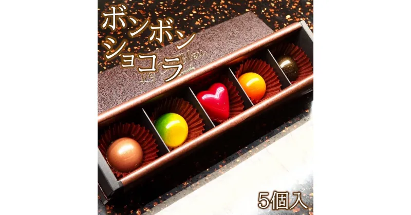 【ふるさと納税】ボンボンショコラ5個入 チョコレート 詰め合わせ ギフト 高級 洋菓子 【11218-0473】