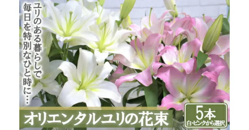 【ふるさと納税】【産直】オリエンタルユリの花束【5本】＜白・ピンクから選択＞　【11218-0532】 ゆり 百合 花束 贈りもの 贈り物 プレゼント ギフト 埼玉県 深谷市 百合の滝沢