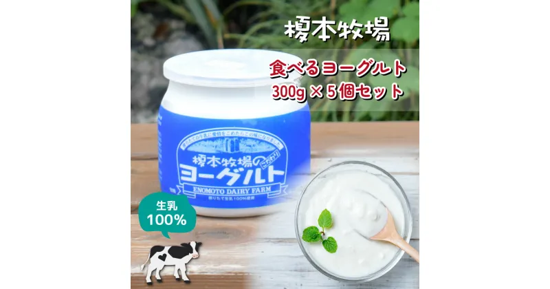 【ふるさと納税】榎本牧場の食べるヨーグルト300g×5個セット | 埼玉県 上尾市 飲むヨーグルト 食べるヨーグルト 乳製品 生乳100% おやつ 朝食 ヨーグルトセット 乳製品セット ヘルシー デザート スイーツ ギフト 国産 新鮮 無添加 搾りたて こだわり生乳 健康