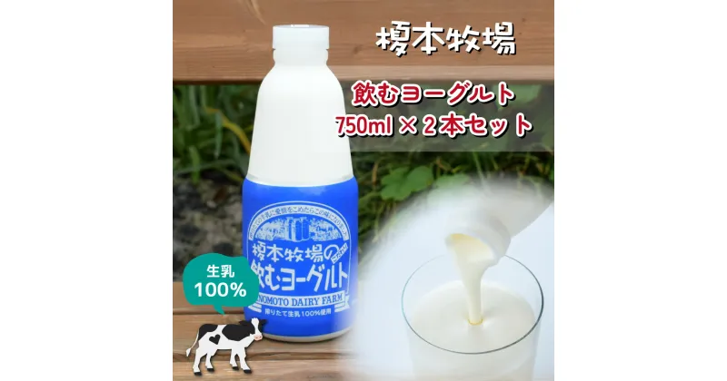 【ふるさと納税】榎本牧場 飲むヨーグルト750ml×2本セット | 埼玉県 上尾市 飲むヨーグルト 食べるヨーグルト 乳製品 生乳100% おやつ 朝食 ヨーグルトセット 乳製品セット ヘルシー デザート スイーツ ギフト 国産 新鮮 無添加 搾りたて こだわり生乳 健康