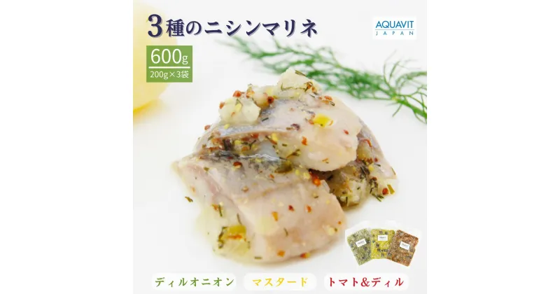 【ふるさと納税】3種のニシンマリネ 200g 3袋 合計 600g | 埼玉県 草加市 ノルウェー産 ニシン マリネ 北欧料理 ディルオニオン マスタード トマト&ディル 冷凍 惣菜 おかず クリスマス 保存食 北欧 本場