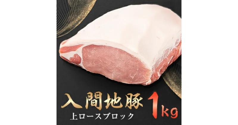 【ふるさと納税】入間地豚　上ロースブロック　1kg【配送不可地域：離島】【1392108】