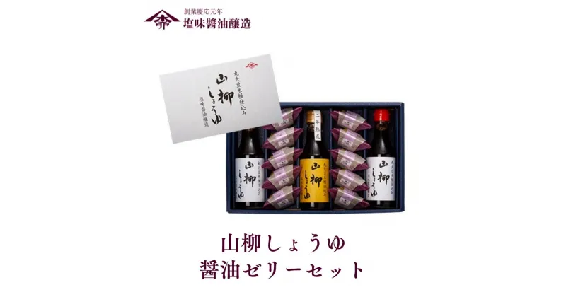 【ふるさと納税】山柳しょうゆ 醤油＋醤油ゼリー セット 塩味醤油醸造 さいしこみ こいくち 醤油 調味料