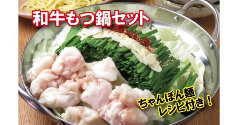 【ふるさと納税】和牛もつ鍋セット ちゃんぽん麺付き 九州醤油 白味噌 選べるスープ Big Sky Project 鍋 鍋セット 冬 夕飯 惣菜