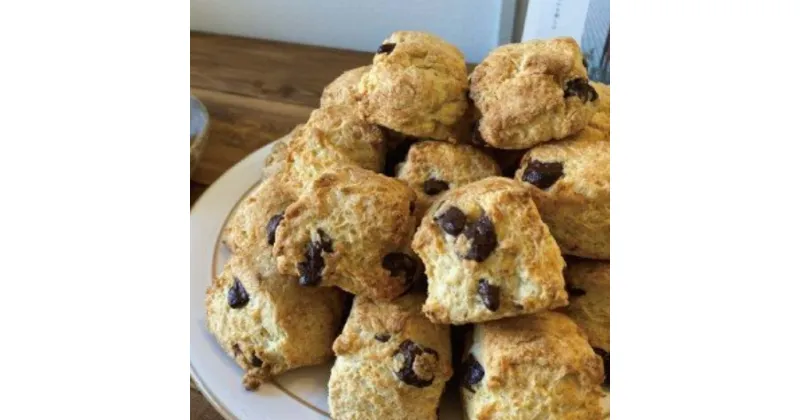 【ふるさと納税】スコーン 12個 セット 季節のスコーン nino scone ココナッツオイル 洋菓子 お菓子 ご家庭用 詰め合わせ